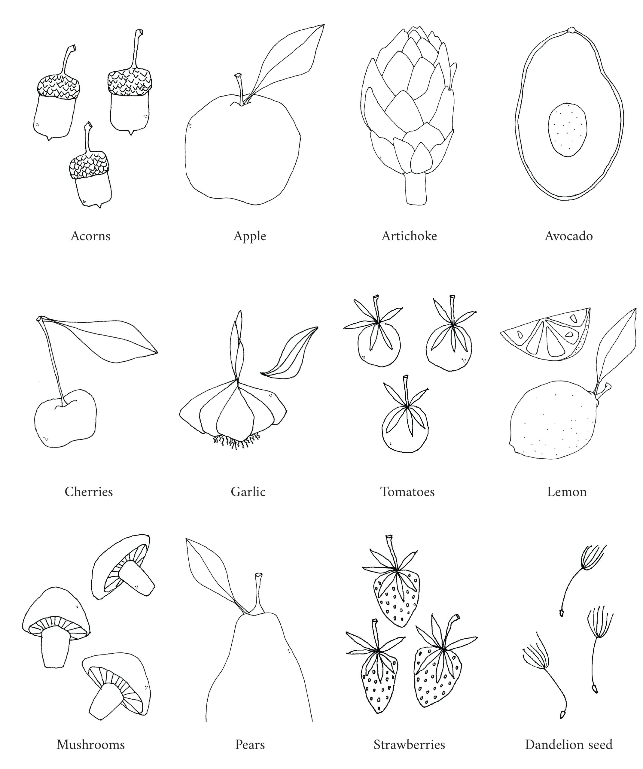 Earthenwaredrawings1_e3ab7def-a84b-4c31-9ac5-1fb60b963c8e