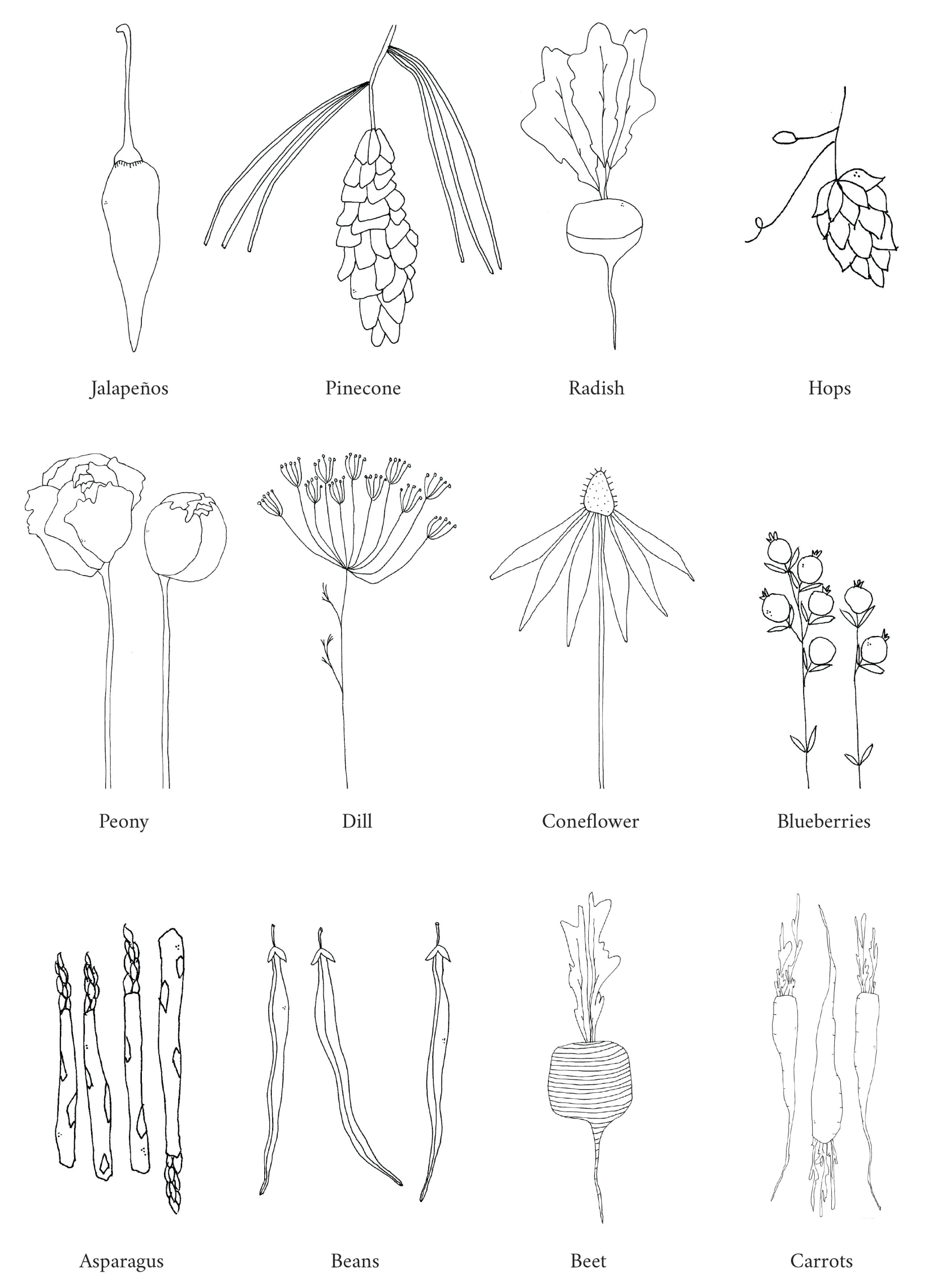 Earthenwaredrawings2_86bd25ab-56d2-4baf-b167-8f8a5c6ce86a